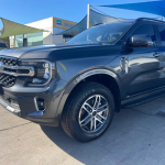 Full Detail Buff Polish Engine Bay